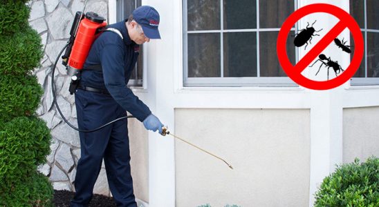 Yenişarbademli Karınca İlaçlama böcek ilaçlama ve haşere kontrolü — ilaclama-tr.com